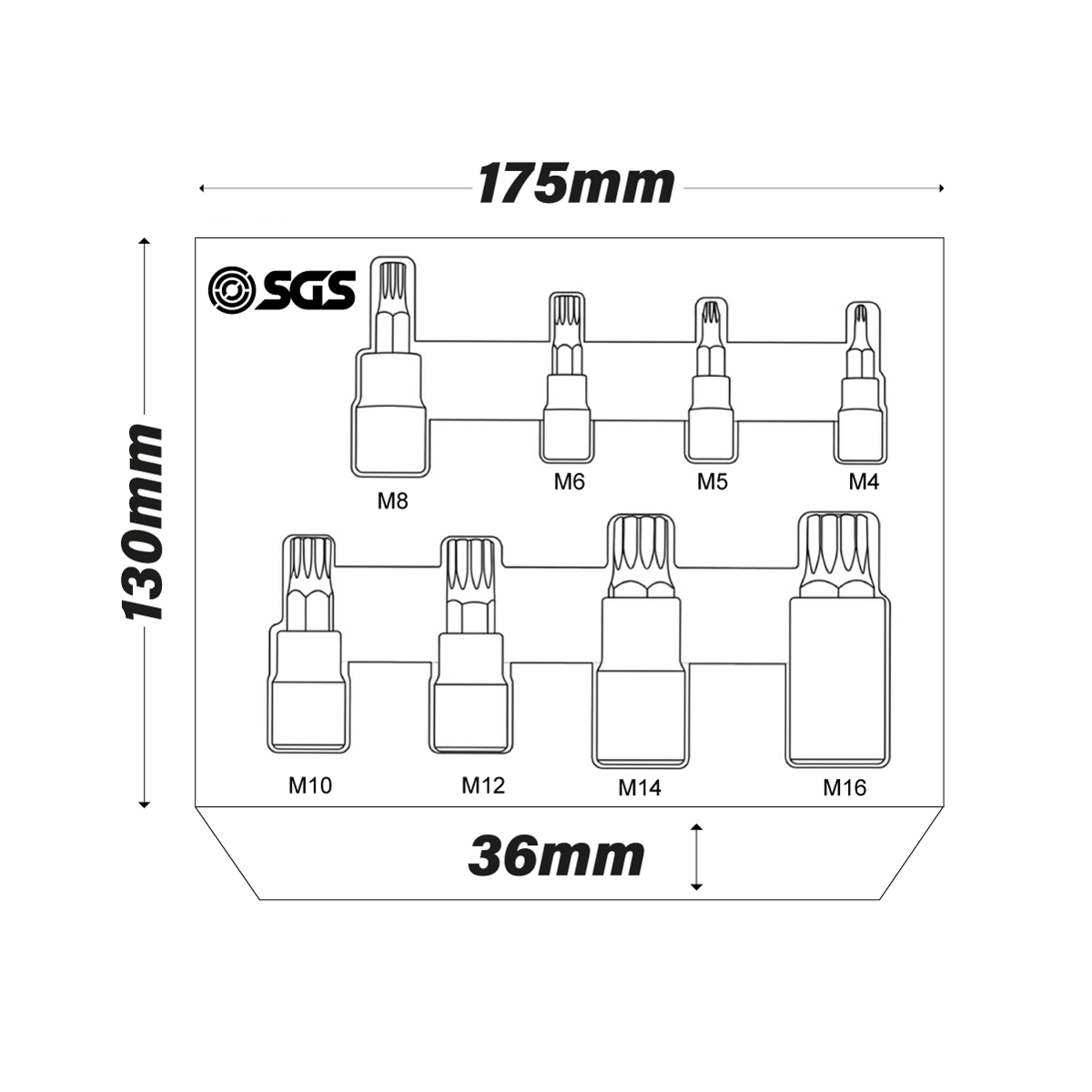 SGS 8pc Spline Socket Bit Set | 1/4in, 3/8in, 1/2in | Foam Insert